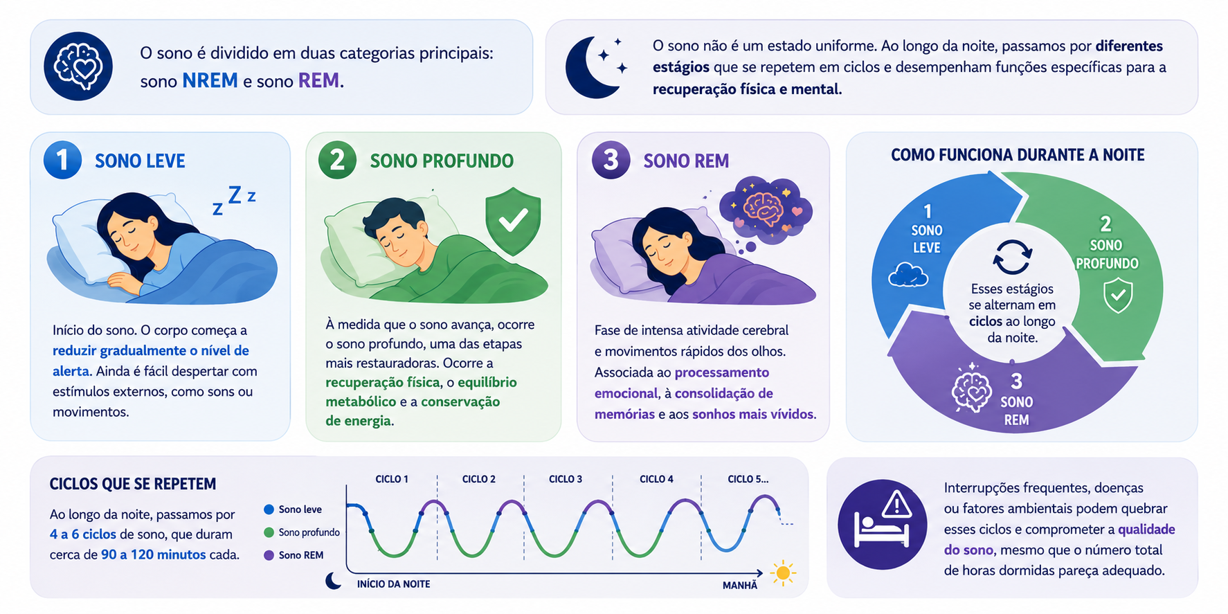 fases do sono